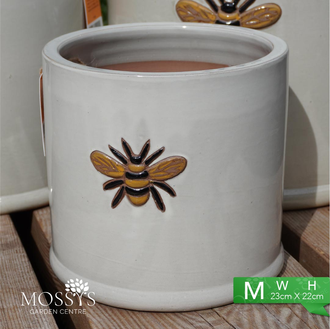 large bee plant pot Creamy White' Bee Pots Glazed Frost Proof Planter – Mossys Garden Centre
