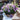 Wicker Petunia Hanging Basket 'Lavender Blush' (30cm)