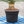 Load image into Gallery viewer, yucca rostrata pot

