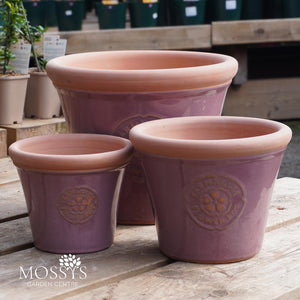 Farmhouse Frost Proof Flower Pots | Violet