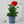 Load image into Gallery viewer, Geraniums (20cm)

