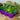 'Fruit Salad' Mixed Basket 6 Pack