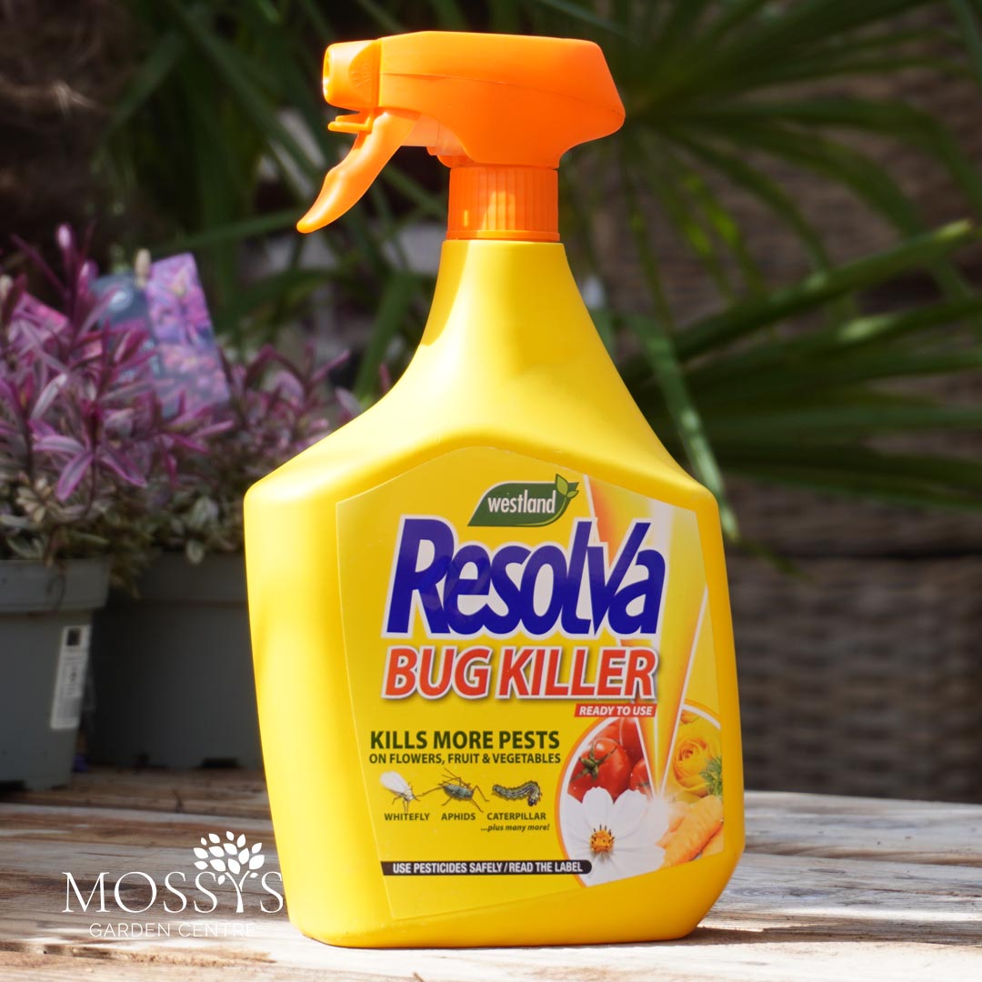 Resolva Bug Killer Spray Bottle 1L – Mossys Garden Centre