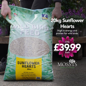 20kg Wild Bird Sunflower Hearts