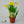 Load image into Gallery viewer, &#39;Tete A Tete&#39; Dawrf Daffodil (10cm)
