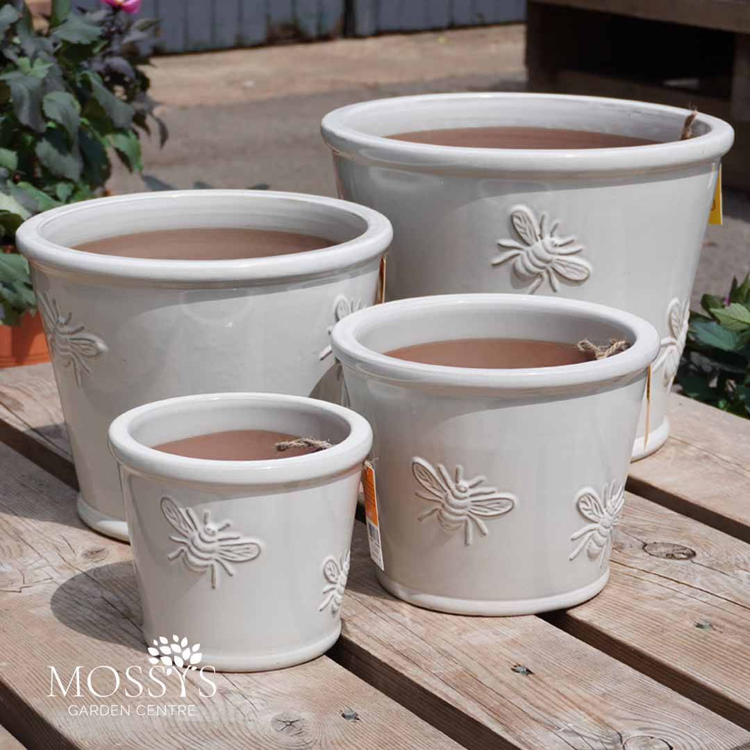 ceramic bee plant pot Creamy White' Bee Kind Bumble Bee Glazed Pots Frost Proof Planters – Mossys Garden Centre