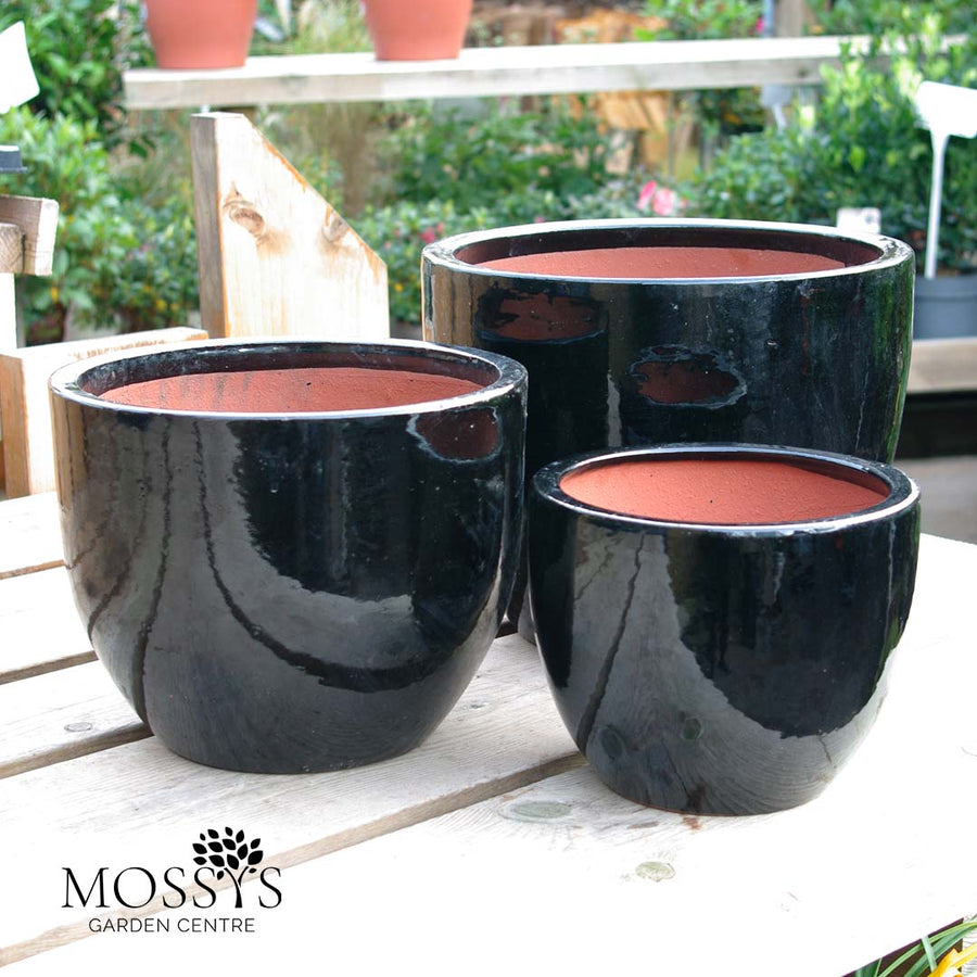 Glazed Black Bowl Pot