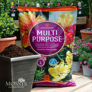 Multi-Purpose Compost 20L