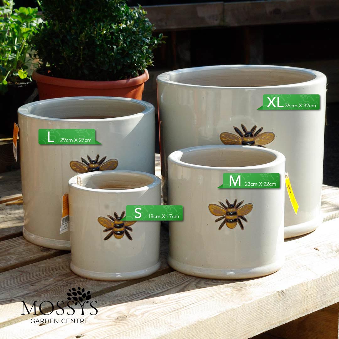 bee plant pots outdoor Creamy White' Bee Pots Glazed Frost Proof Planter – Mossys Garden Centre