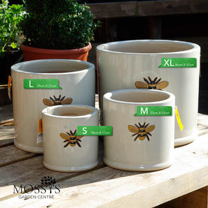 Bee Kind Bee Pots Glazed 'Creamy White' Frost Proof Cylinder Planter (Back In Stock 2024)