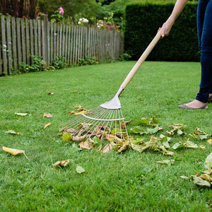 Stainless Steel Long Lawn and Leaf Rake - Kent & Stowe